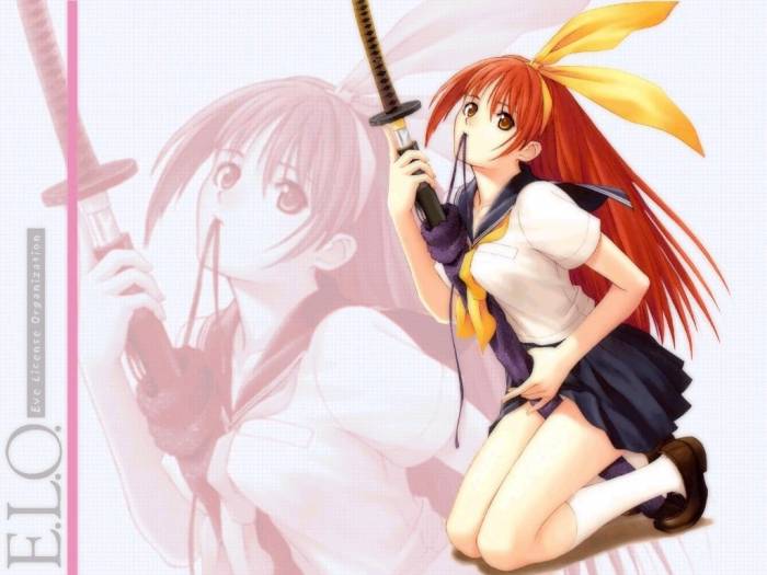 chiboard-b1t21356-20080111_-27554-elo_eve_license_organization_sword_taka_tony_upby-Insane-R.jpg