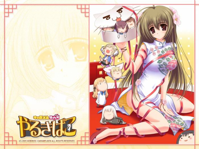 chiboard-b1t21371-20080112_Ecchi_45_upby-Insane-R.jpg