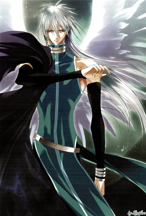 chiboard-b2t21392-20080112_Minitokyo_Male_Scans_Saint_Beast_278153_upby-Duky.jpg