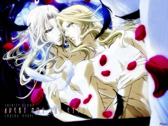 chiboard-b2t21489-20080115_Minitokyo_Anime_Wallpapers_Trinity_Blood_216216_upby-Duky.jpg
