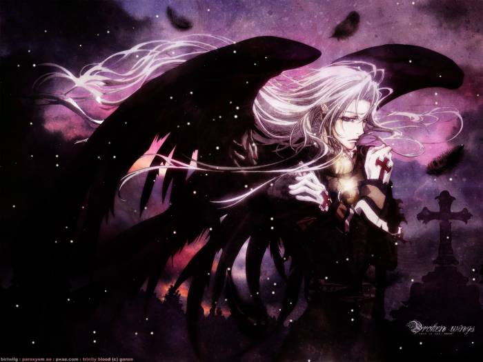 chiboard-b2t21490-20080115_Minitokyo_Anime_Wallpapers_Trinity_Blood_129493_upby-Duky.jpg