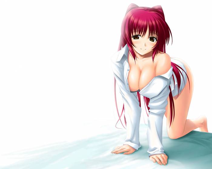 chiboard-b1t21515-20080116_-16151-kousaka_tamaki_to_heart_2_white_upby-Insane-R.jpg