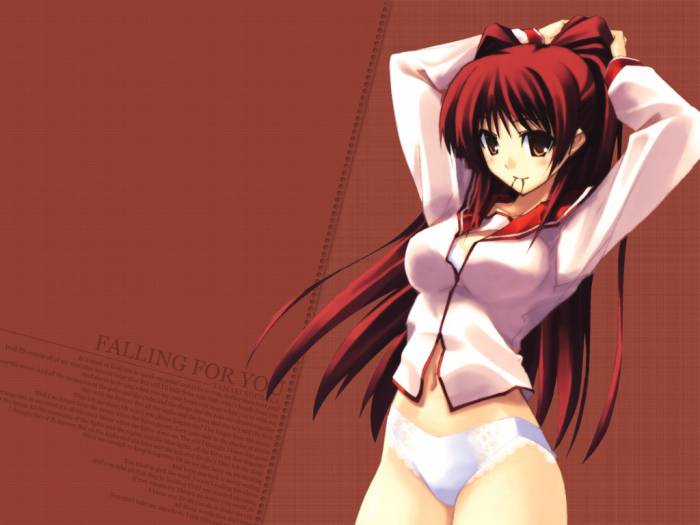 chiboard-b1t21529-20080116_To_Heart_2_-1_upby-Insane-R.jpg