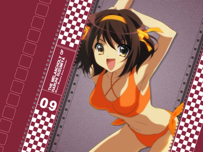 suzumiya3.jpg