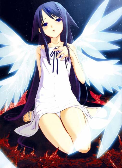 chiboard-b1t21758-20080119_24hw6_upby-Suiginto_Maiden.jpg