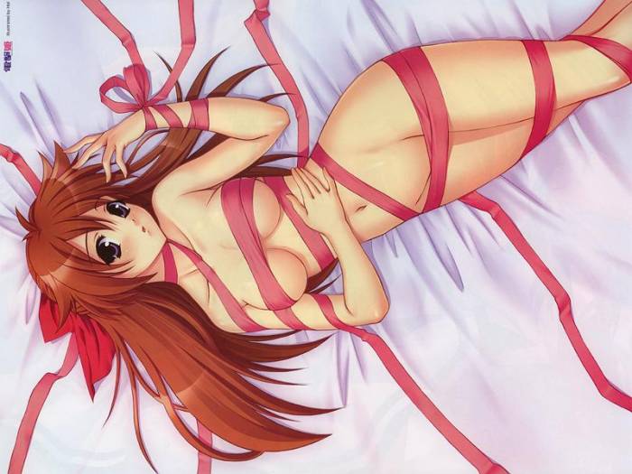 chiboard-b1t21932-20080120_noel2_upby-Suiginto_Maiden.jpg