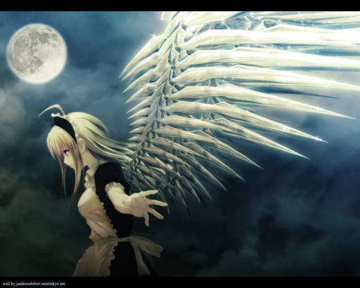 chiboard-b1t21937-20080120_Minitokyo_Anime_Wallpapers__302716_upby-Suiginto_Maiden.jpg