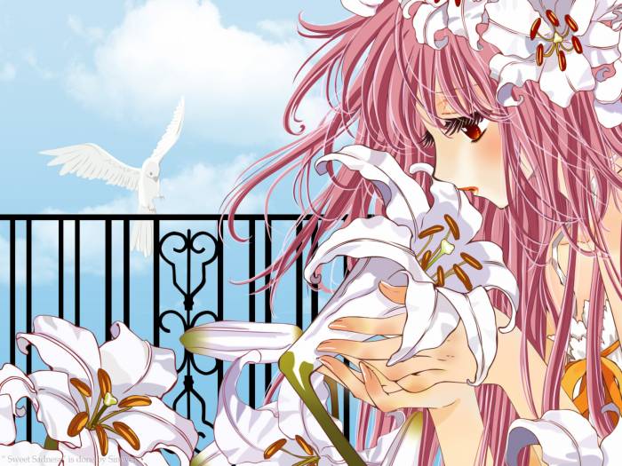 chiboard-b1t21939-20080120_Minitokyo_Anime_Wallpapers_Kobato_284663_upby-Suiginto_Maiden.jpg