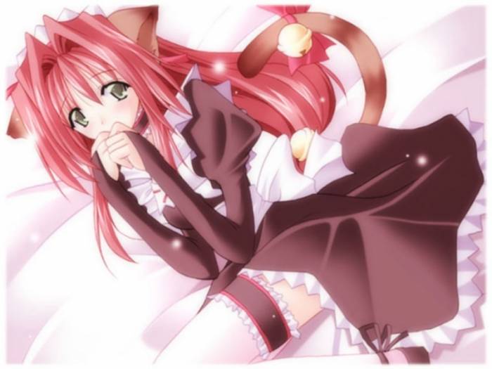chiboard-b1t21961-20080121_330237-20070401063913_upby-Hecate_Chaton.jpg