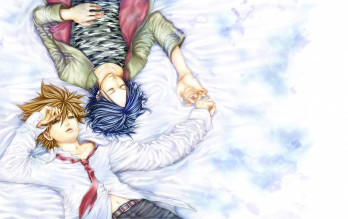 chiboard-b2t22213-20080124_Mukuro_x_Tsuna080_upby-Duky.jpg
