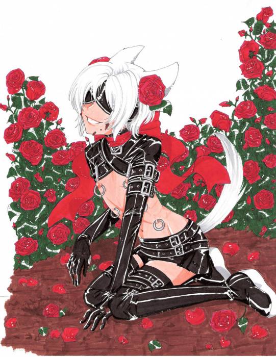 chiboard-b2t22513-20080127_Inu_Digging_up_Roses_by_Dreamsraven_upby-Duky.jpg