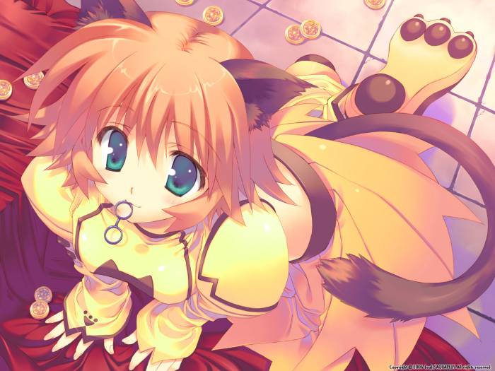chiboard-b1t22618-20080130_princessokami_upby-Suiginto_Maiden.jpg
