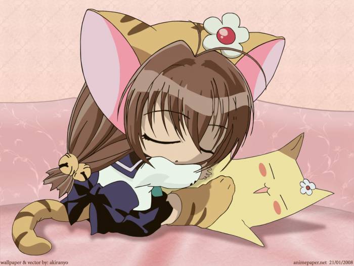 chiboard-b1t22686-20080131__AnimePaper_wallpapers_Di-Gi-Charat_akiranyo_1.33__1600x1200_71485_upby-Xou-chan.jpg