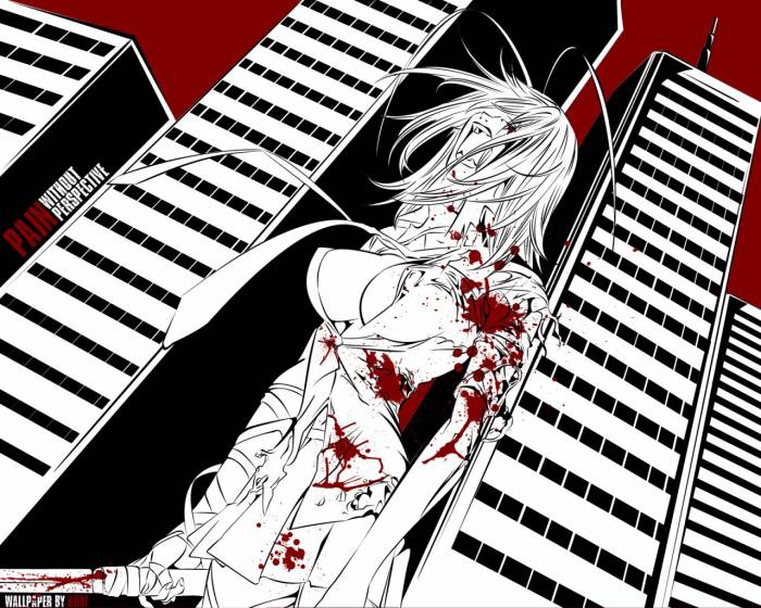 chiboard-b3t22694-20080131__AnimePaper_wallpapers_Tenjou-Tenge_HiiHi_11994_upby-Xou-chan.jpg