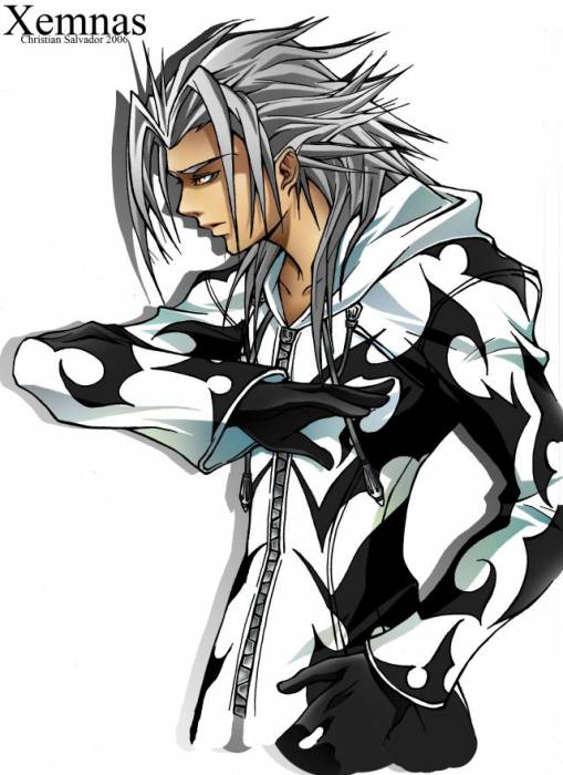chiboard-b2t22730-20080201_Xemnas_by_ShadowMaster23_upby-Duky.jpg