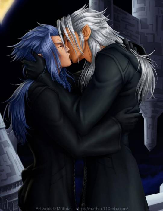 chiboard-b2t22736-20080201_Saix___Xemnas_upby-Duky.jpg