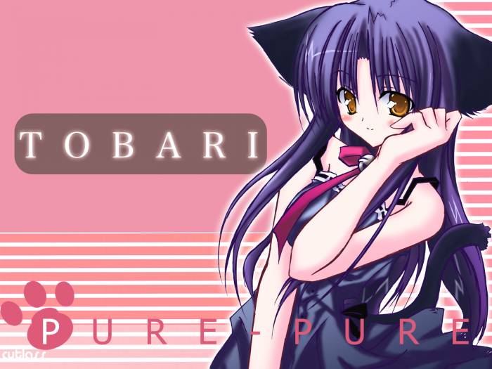 chiboard-b1t22928-20080203_tobari_wallpaper_1600_upby-Suiginto_Maiden.jpg