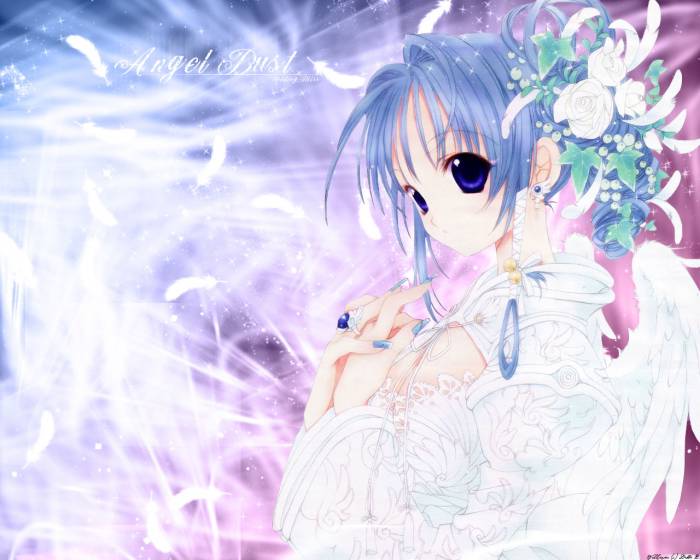 chiboard-b1t22987-20080204__AnimePaper_wallpapers_Angel-Dust_Debs_6381_upby-Xou-chan.jpg