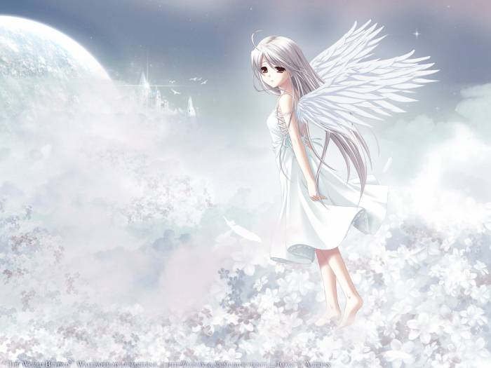 White.Clarity_143020.jpg
