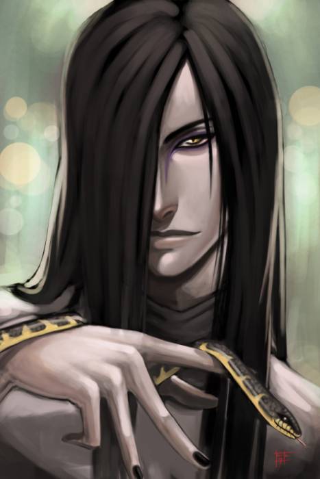 chiboard-b2t23218-20080206___O_r_o_c_h_i_m_a_r_u____by_Ninjatic_upby-rena.jpg