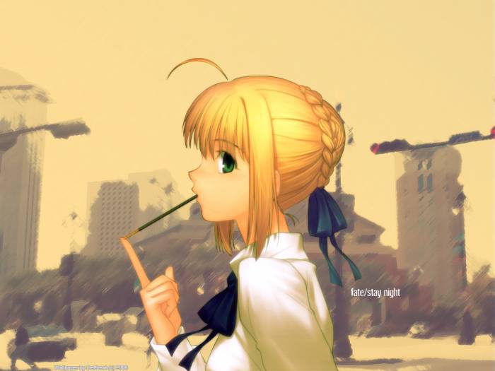 chiboard-b1t23891-20080214_Fate_Stay_Avenue_upby-Nazo.jpg