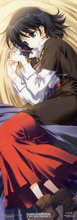 chiboard-b1t24213-20080219_moe_200712017142023_upby-Sawamura.jpg