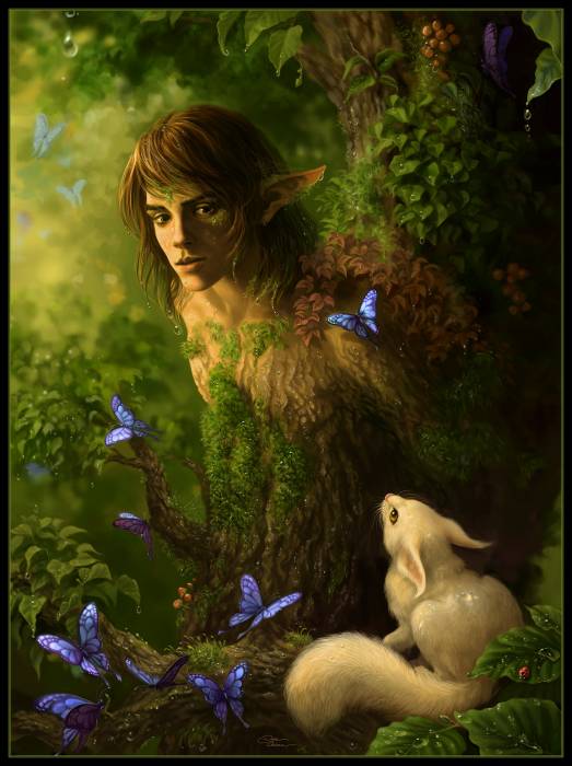 chiboard-b2t24225-20080219_After_the_rain____by_Dianae_upby-Nomura.jpg