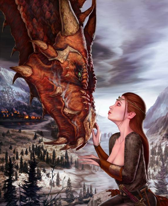 chiboard-b1t24235-20080219_Dragontamer_by_Graysun_D_upby-Nomura.jpg