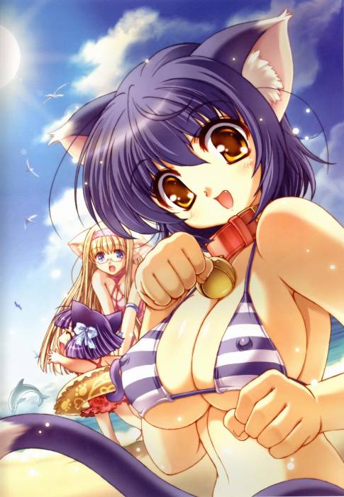 chiboard-b1t24288-20080220_moe_200712022239411_upby-Sawamura.jpg