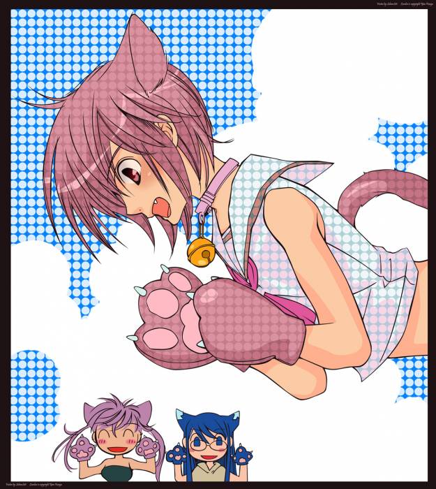 chiboard-b2t24408-20080221_loveless_vector_aarin_upby-Duky.jpg
