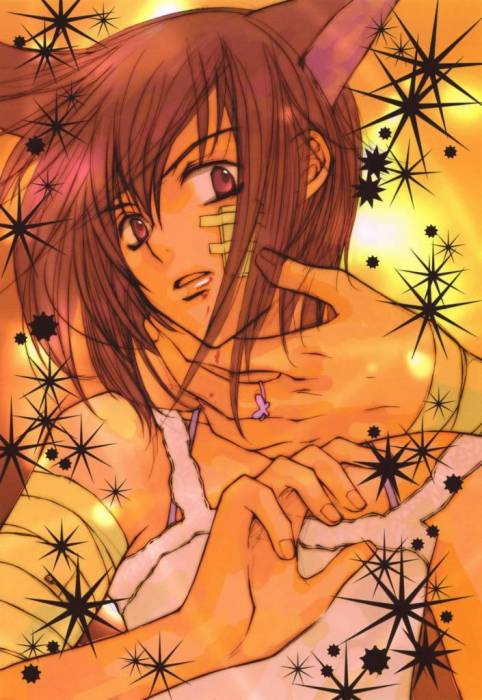 chiboard-b2t24447-20080222_Minitokyo_Male_Scans_Loveless_284327_upby-Duky.jpg