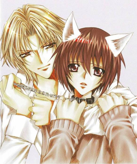chiboard-b2t24496-20080223_Minitokyo_Male_Scans__332579_upby-Duky.jpg