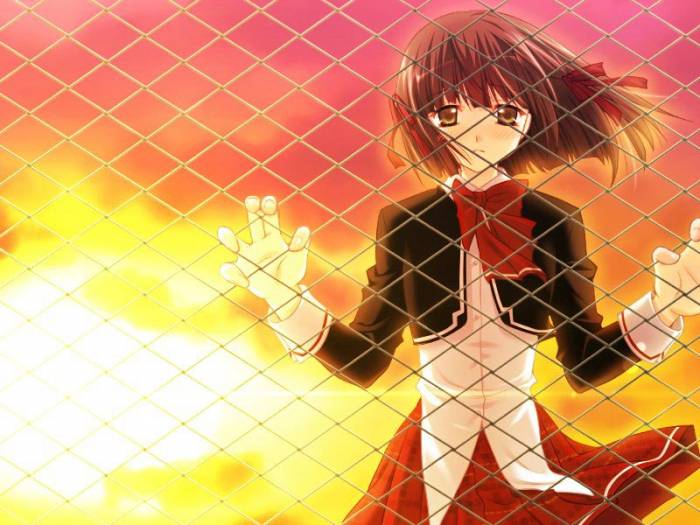 chiboard-b1t24536-20080223_AC_5253_upby-Devilblood.jpg