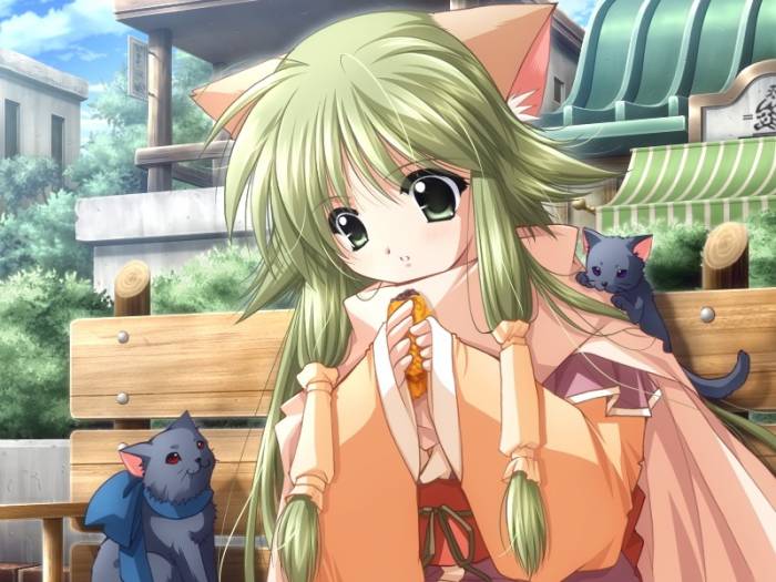 chiboard-b1t24538-20080223__Digik__20SK_1920_upby-Devilblood.jpg