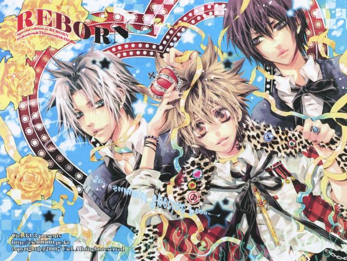 chiboard-b2t24560-20080224_Minitokyo_Male_Scans_Katekyo_Hitman_Reborn__311825_upby-Duky.jpg