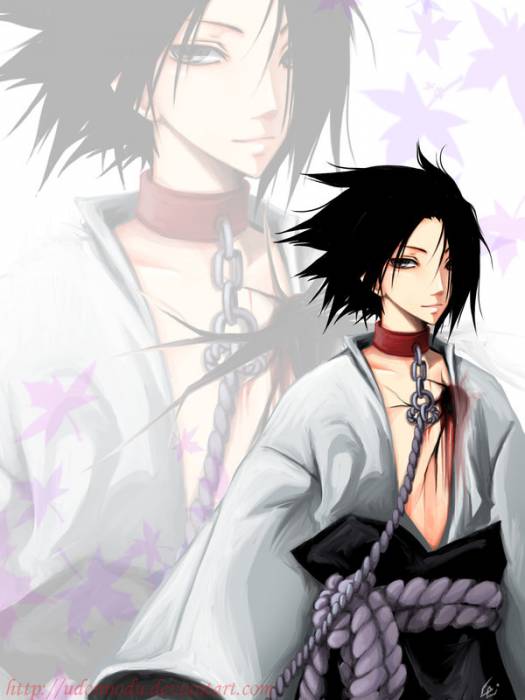 chiboard-b2t25319-20080310_Sasuke_Shippuden_by_UdonNodu_upby-rena.jpg