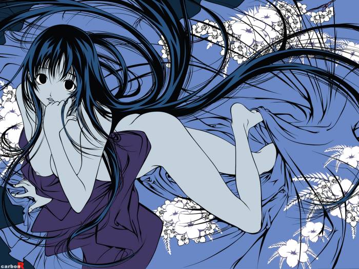 chiboard-b1t25380-20080311__AnimePaper_wallpapers_Tenjou-Tenge_CarbonR_1.33__1600x1200_52011_upby-Xou-chan.jpg