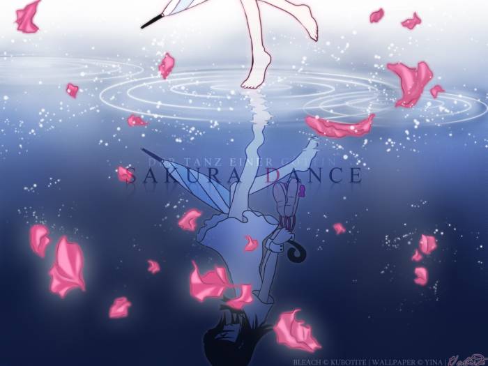 chiboard-b1t25387-20080311__AnimePaper_wallpapers_Bleach_Yina_28235_upby-Xou-chan.jpg