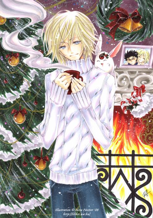 chiboard-b2t25440-20080314_Christmas_Memories___cover_by_kaoru_chan_upby-Duky.jpg
