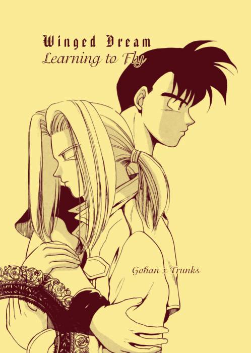 chiboard-b2t25614-20080319_Learning_to_Fly__cover-front_b_r-ari__upby-Lord_Truhan.jpg