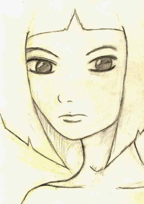 pic_fa_des_40.jpg