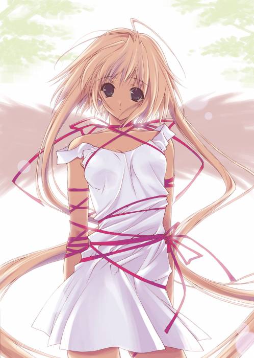 chiboard-b1t25778-20080325_caef9c53c574153b3dc0039e21100bb0f454d457_upby-kumiko.jpg