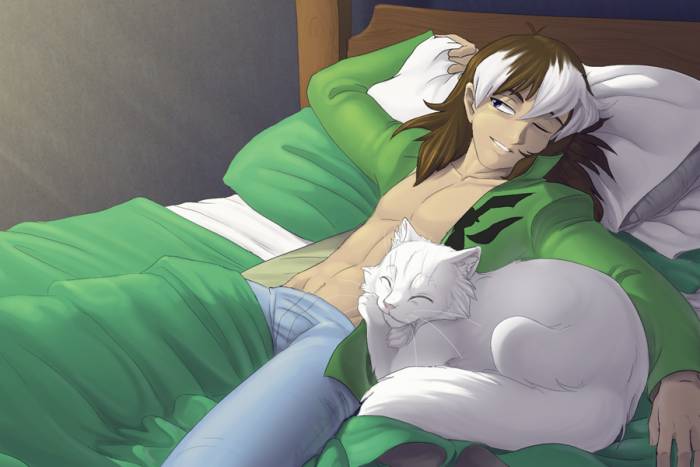 chiboard-b2t25846-20080327_He_stole_my_heart_and_my_cat_by_hibbary_upby-selene.jpg