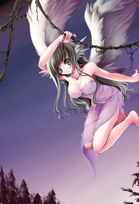 chiboard-b1t25883-20080328_2008-03-25-93984_upby-Devilblood_.jpg