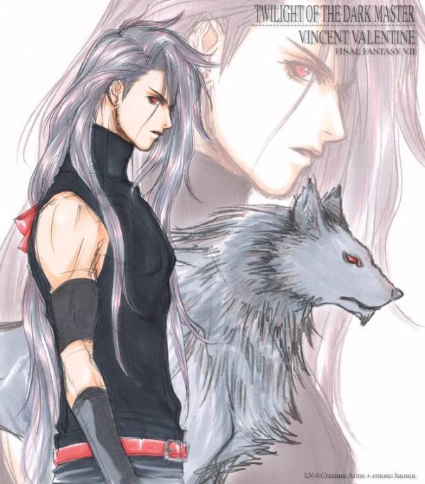 chiboard-b2t26848-20080423_vincent_wolf_upby-Duky.jpg