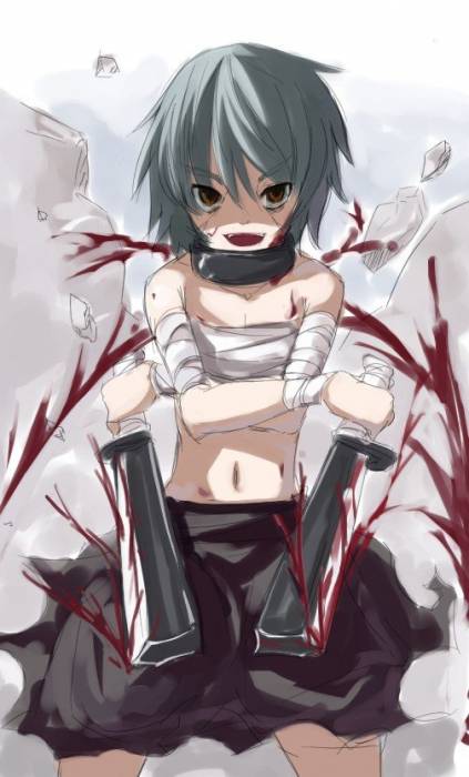 chiboard-b3t26852-20080423_3e773c4059eeadf979b701d1d6e6b59d_upby-Devilblood.jpg