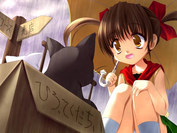 chiboard-b1t26991-20080426_lolichaton_upby-Feather.jpg
