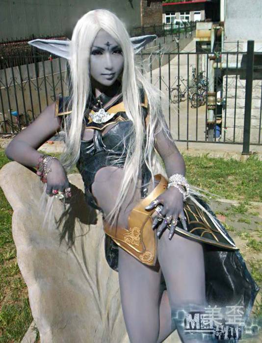 chiboard-b7t27015-20080427_lineage2_1_upby-selene.jpg