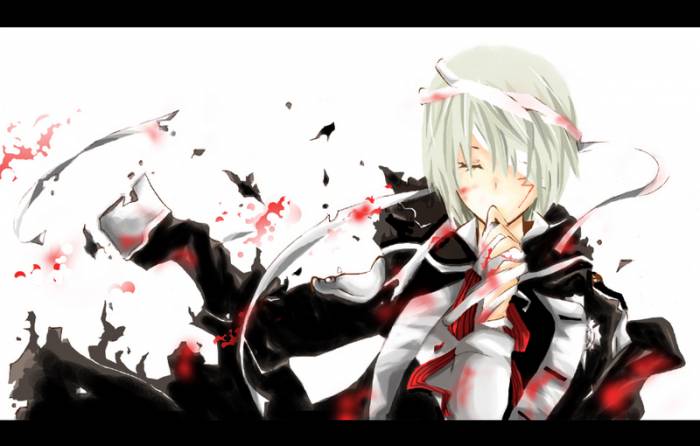 chiboard-b3t27172-20080429_D_Gray_Man___Allen_cover_by_kaokmch_upby-Duky.jpg