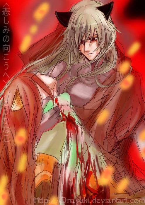 chiboard-b2t27357-20080504_lamento_beyond_sadness_by_DNAyuki_upby-Duky.jpg
